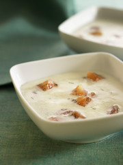 crème d'asperges blanches