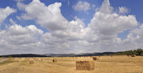 Hay bale in a golden dry field with cloudy blue sky, Israel