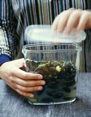 moules marinières au thym et céleri