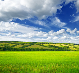 Obraz premium landscape