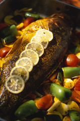 denti sur lit de fenouil 