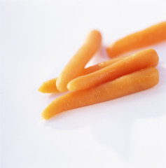 carottes de conserve 