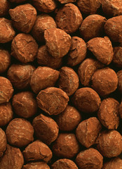lit de truffes au cacao