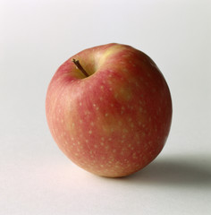 pomme pink lady