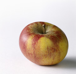 pomme cox-orange