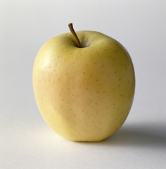 pomme golden