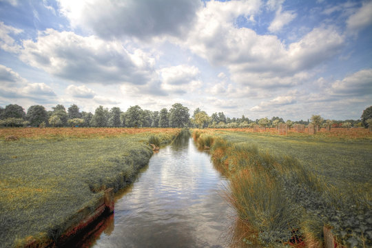 Bushy Park - London