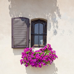 window with flower in tuscany