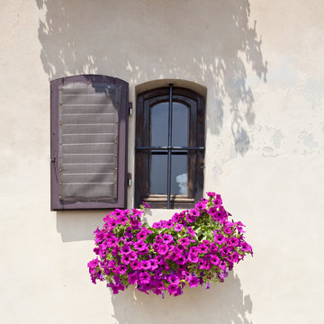 window with flower in tuscany
