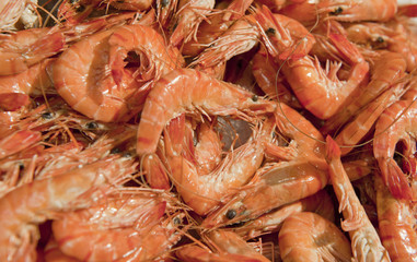 Crevettes