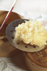 morille blanche chinoise