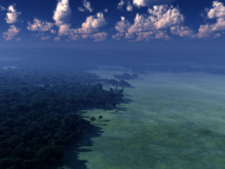 Fototapeta na wymiar An aerial view of a forest landscape.