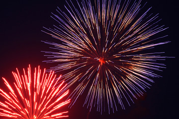 Abstract Fireworks Background