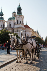 Naklejka na ściany i meble Carrozza con cavalli a Praga