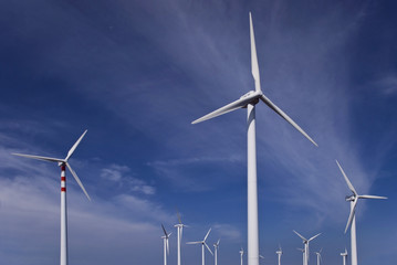 energia eolica