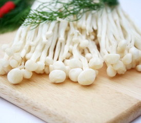 Enoki Pilze