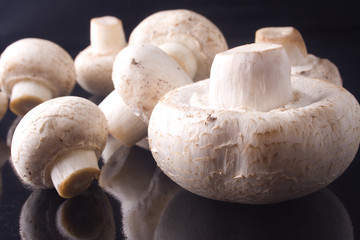 champiñones frescos crudos listos para cocinar