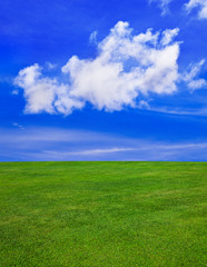Grass and cloudy sky