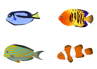 Vector illustration of four tropical fishes