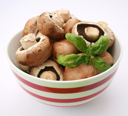 braune champignons