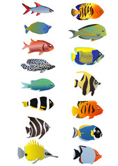 Two line of tropical fishes, vector illustration