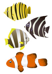 Vector illustration of colorful tropical fish