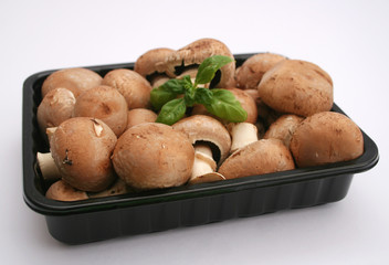 braune champignons