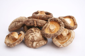 Shiitake Pilze