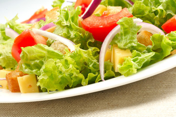 Close-up of salad on white plate