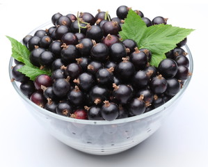 Crockery with black currant.