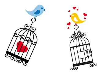Wall murals Birds in cages birds in love with birdcage