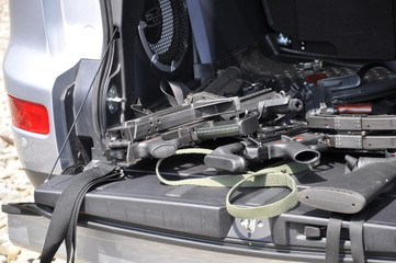 guns in the car