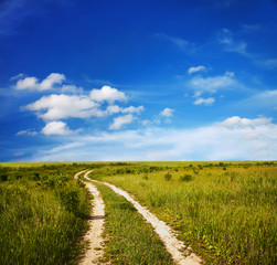 Fototapeta premium fields