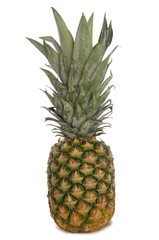 Obraz premium Pineapple cutout