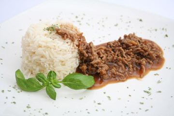 Reis mit Jägersoße