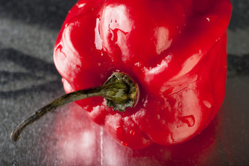 Scotch Bonnet
