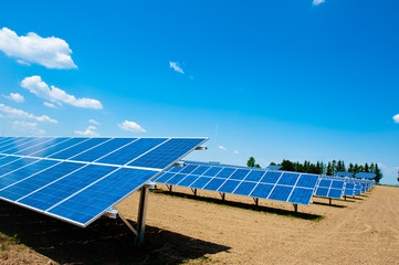 Feld mit Solarkollektoren
