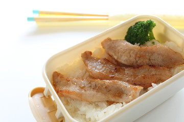 Japanese Packed Lunch
