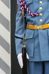 Naklejka premium honor guard - Prague Castle