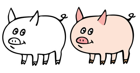 pig