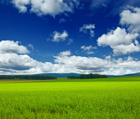 Obraz premium landscape