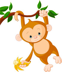 Obraz na płótnie Canvas Baby monkey on a tree