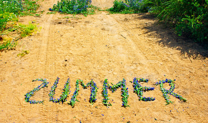 Obraz premium Flower summer