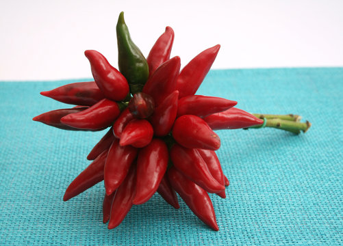 chilischoten