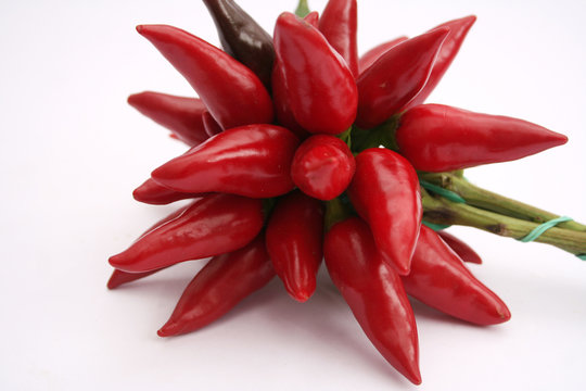 chilischoten