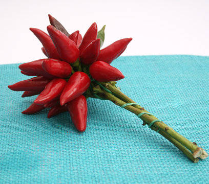 chilischoten