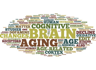 Brain Aging Concepts