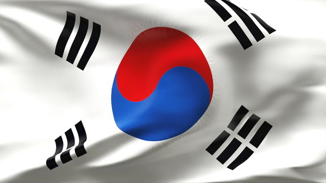 Creased South korean satin flag in wind with seams and wrinkle