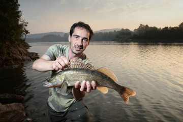 zander