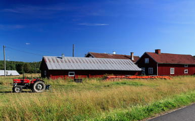 Fototapeta premium agriculture in Finland